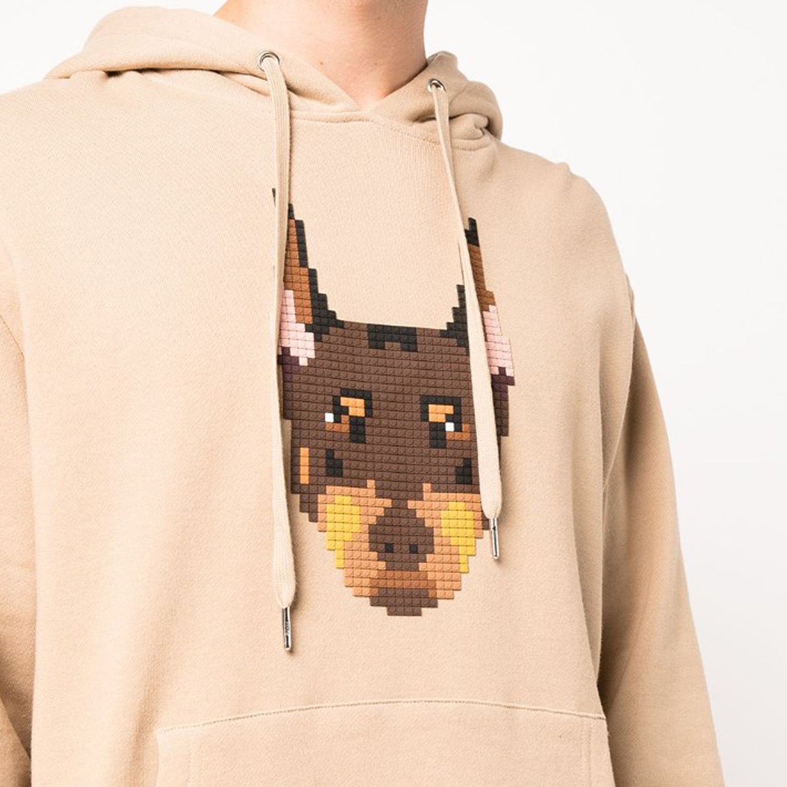 DOBERMAN PINCHER HOODIE – mostlyheardrarelyseen8bit